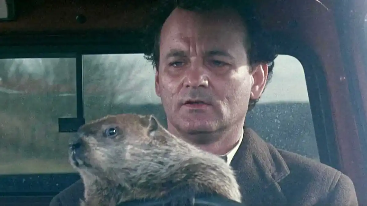 Bill Murray Groundhog Day: How Many Times Did He Relive?