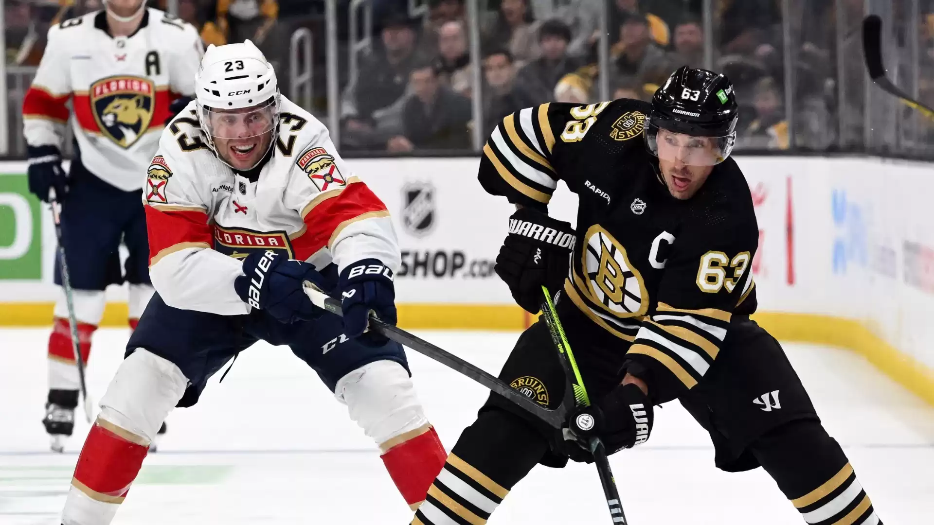 Brad Marchand, Bruins: No Grudge Held over Last Season's Playoff Exit