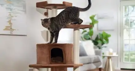 Cat Tree Sale: Save on Durable Cat Tree for National Pet Day