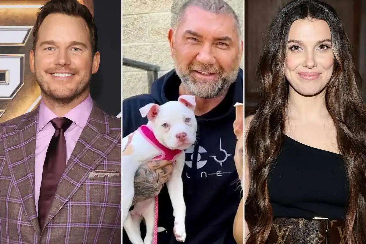 Dave Bautista Adopted Pit bull Talulah with Help from Chris Pratt and Millie Bobby Brown