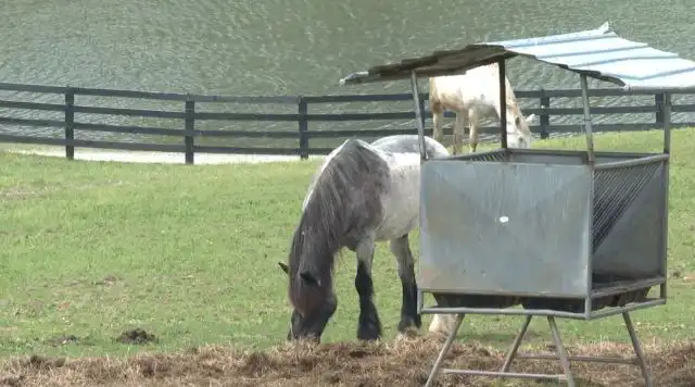 Inventors Whac-A-Mole selling equestrian estate North Carolina