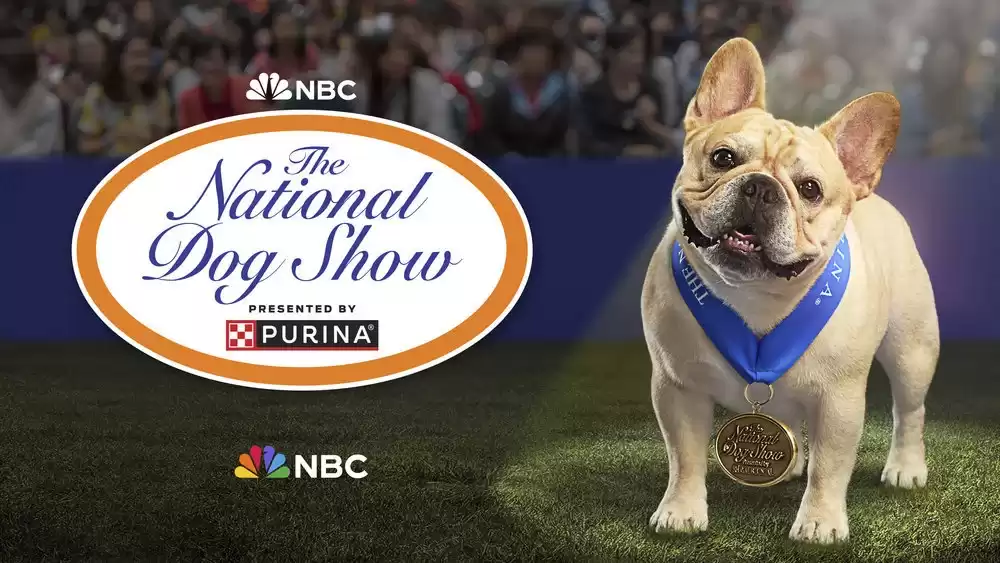 National Dog Show 2023: Start Time, Network, and What to Expect