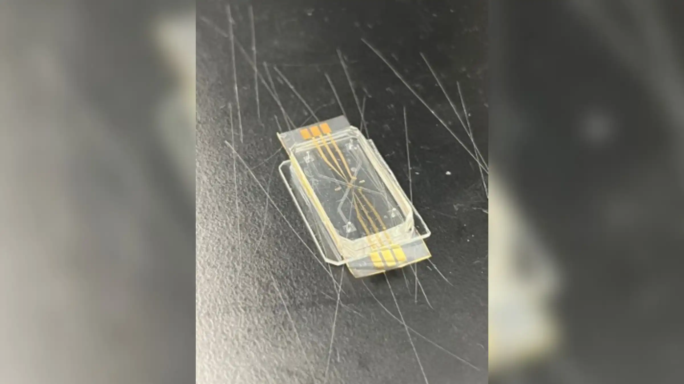 Scientists unveil new heart-on-a-chip | Live Science