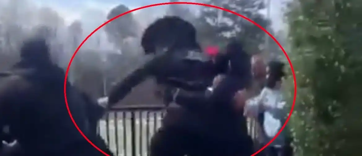 Star QB Cam Newton Brawl: Gets Walloped in 7-On-1 Fight but Doesn't Go Down