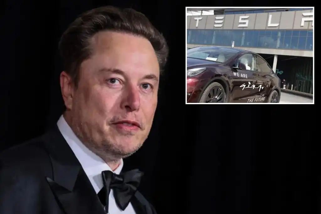 Tesla stock soars Elon Musk promises affordable electric vehicles